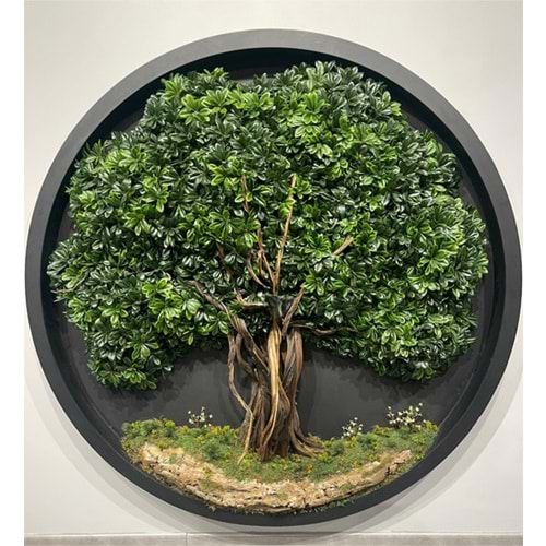 160 CM OVAL BONSAI PANO