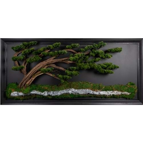 89*194 BONSAI PANO