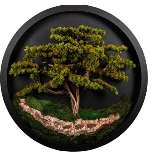 140 CM YUVARLAK BONSAI PANO