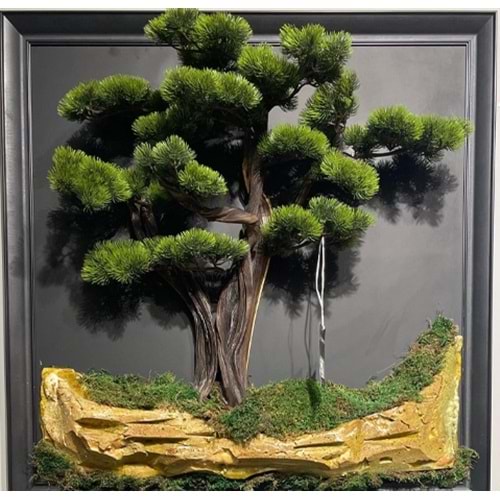 90*90 BONSAI TABLO