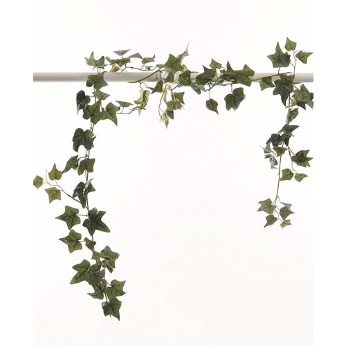HEDERA GARLAND 180CM