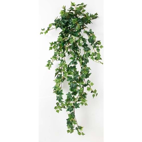 120 CM ENGLISH IVY