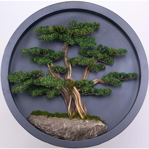 90 CM BONSAI PANO