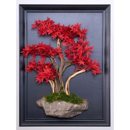 50*70 CM BONSAI TABLO
