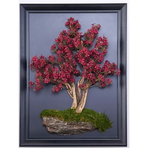 50*70 CM BONSAI TABLO