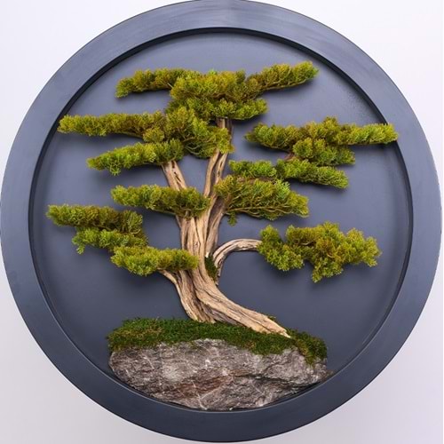 90 CM BONSAI TABLO
