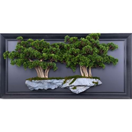 60*130 CM BONSAI TABLO