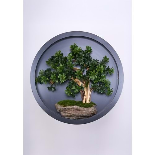110 CM BONSAI PANO