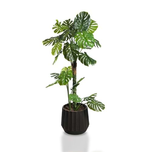 160 CM DEVE TABANI