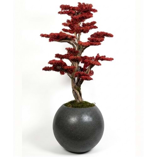 120 CM SAKSILI BONSAI AĞAÇ