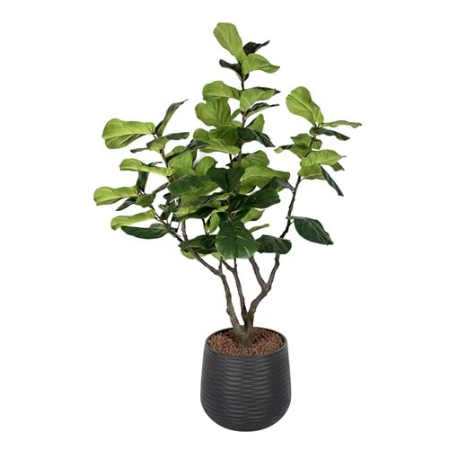 230 CM MANOLYA AĞACI