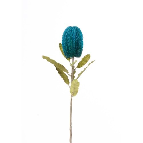 BANKSIA TEK DAL 65 CM MAVİ