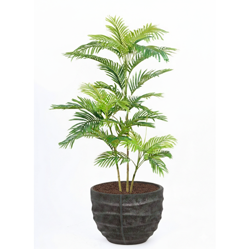 150 CM AREKA PALM