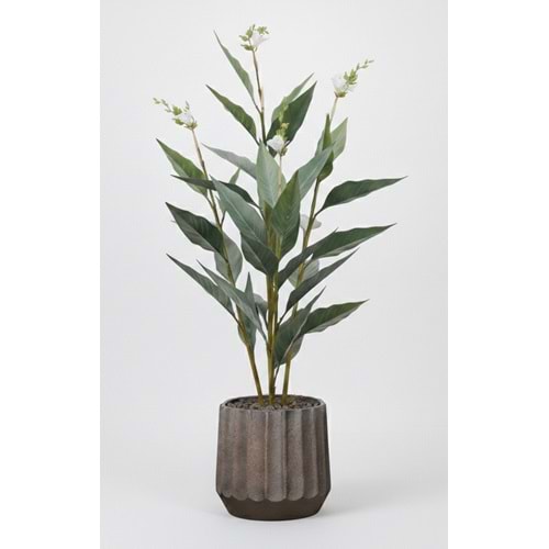 155 CM CANA BİTKİSİ BEYAZ