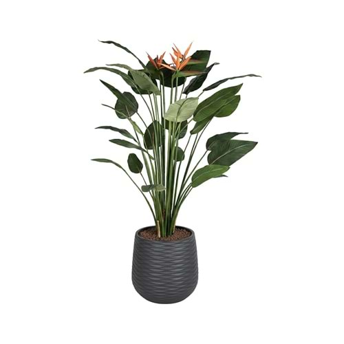 150 CM STARLİÇE