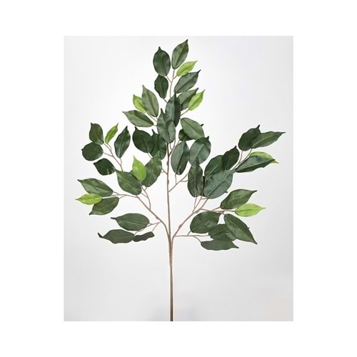 FICUS YAPRAK 70 CM