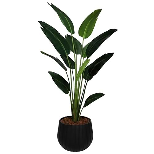 180 CM STARLİÇE