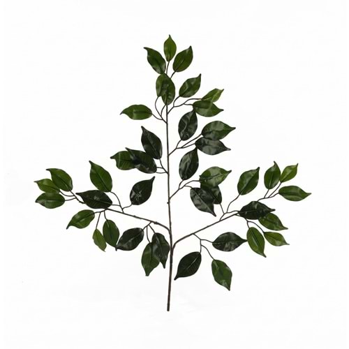 FICUS YAPRAK 70 CM