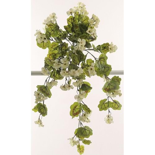 GERANIUM HANGING VINE WHITE