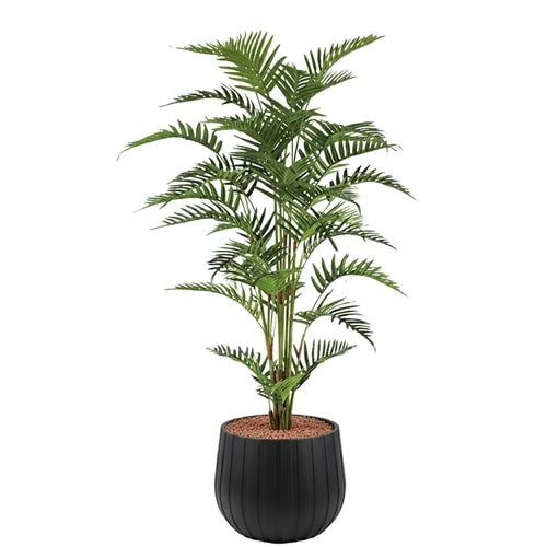 150 CM FERN PALM