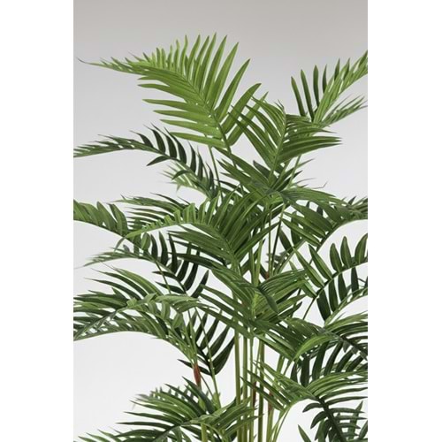 150 CM FERN PALM