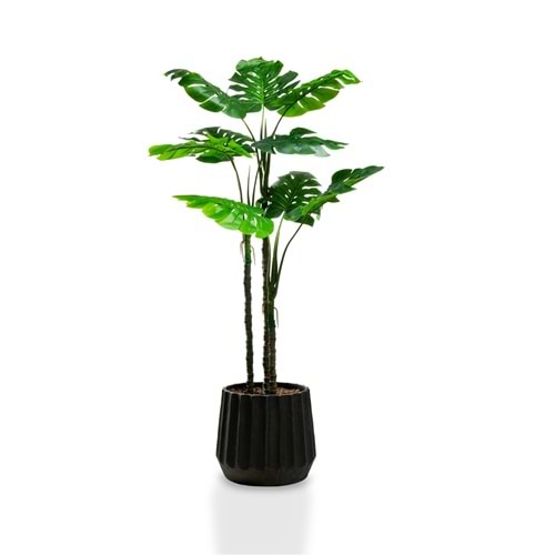 160 CM MONSTERA