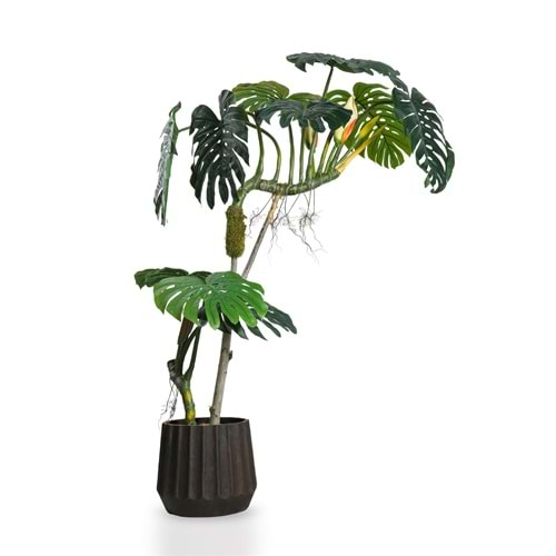 240 CM BÜYÜK DEVE TABANI