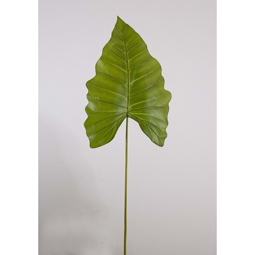 CALLA TEK DAL 111CM