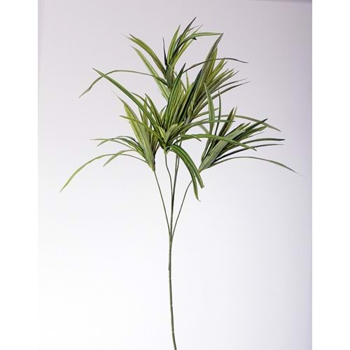 80 CM SPIDER PLANT