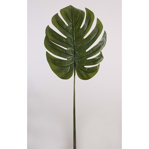 MONSTERA DAL 130CM