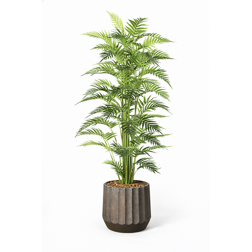 200 CM FERN PALM