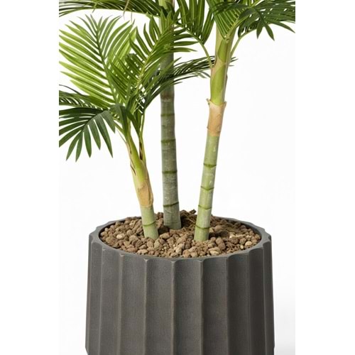 210 CM AREKA PALM 3'LÜ