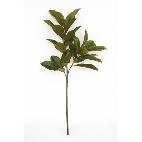 120 CM MANOLYA AĞACI