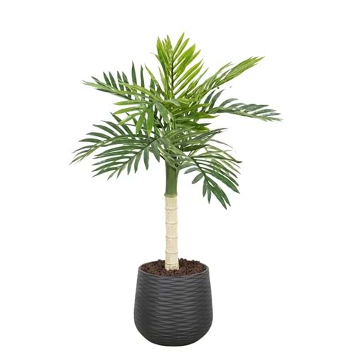100 CM MİNİ PALMİYE