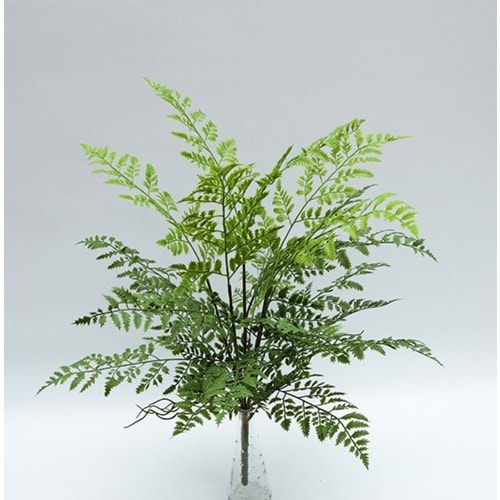 70 CM DEMET BİTKİ