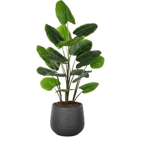 120 CM CIRCULAR PALM