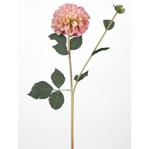 KASIMPATI 77 CM