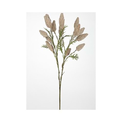 DAL ÇİÇEK KAHVE 70 CM
