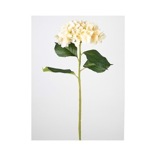 ORTANCA KREM 82 CM