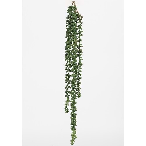 80 CM PLUM SARMAŞIK