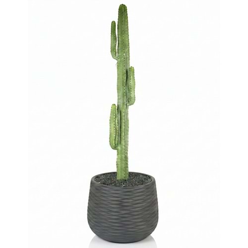 108 CM KAKTÜS