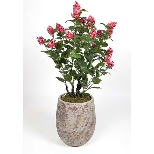 90 CM LEYLAK BORDO