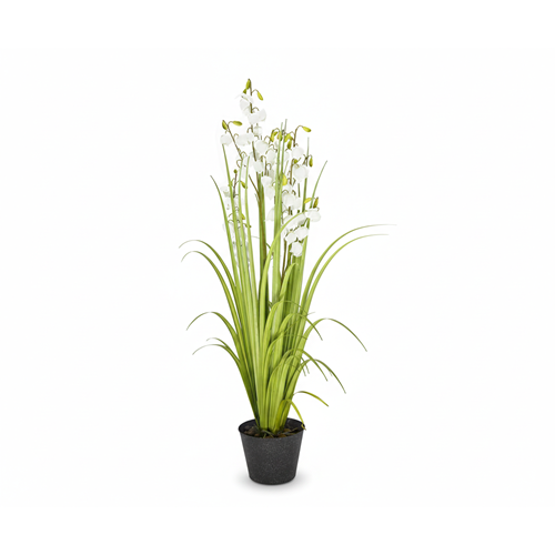 152 CM LANTERN FLOWER GRASS