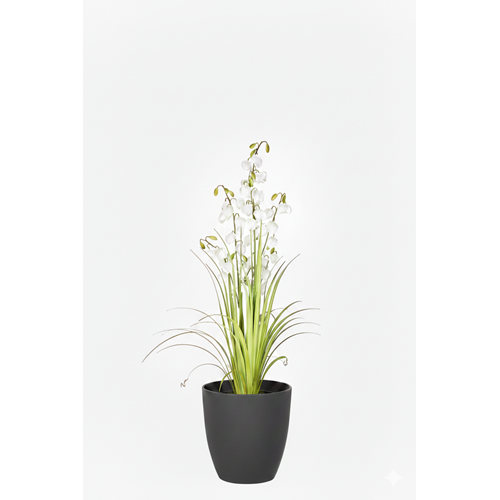 120 CM LANTERN FLOWER GRASS