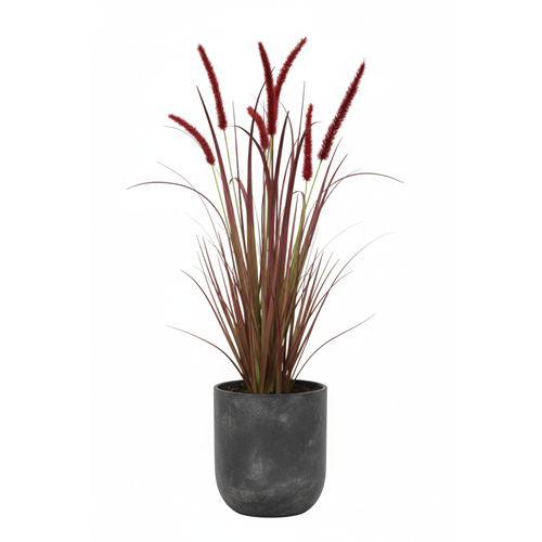 88 CM DOGTAIL GRASS BUSH BORDO