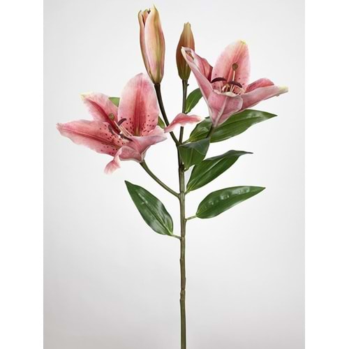 LILYUM PEMBE 75 CM