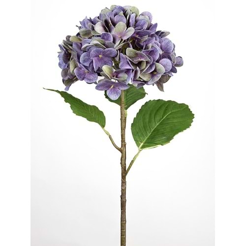 MOR ORTANCA 55 CM