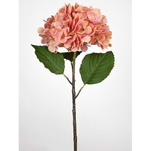 TURUNCU ORTANCA 55 CM
