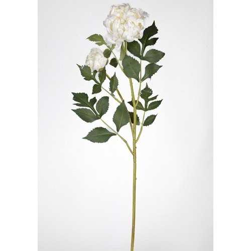 KRIZANTEM 70 CM