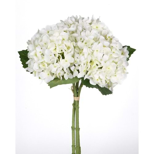 ORTANCA BEYAZ 34 CM